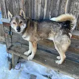 Фото 1