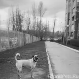 Фото 4