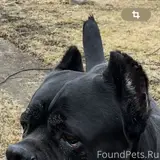 Фото 2