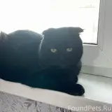 Фото 1