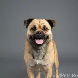 Фото 3