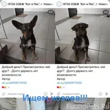 Фото 4