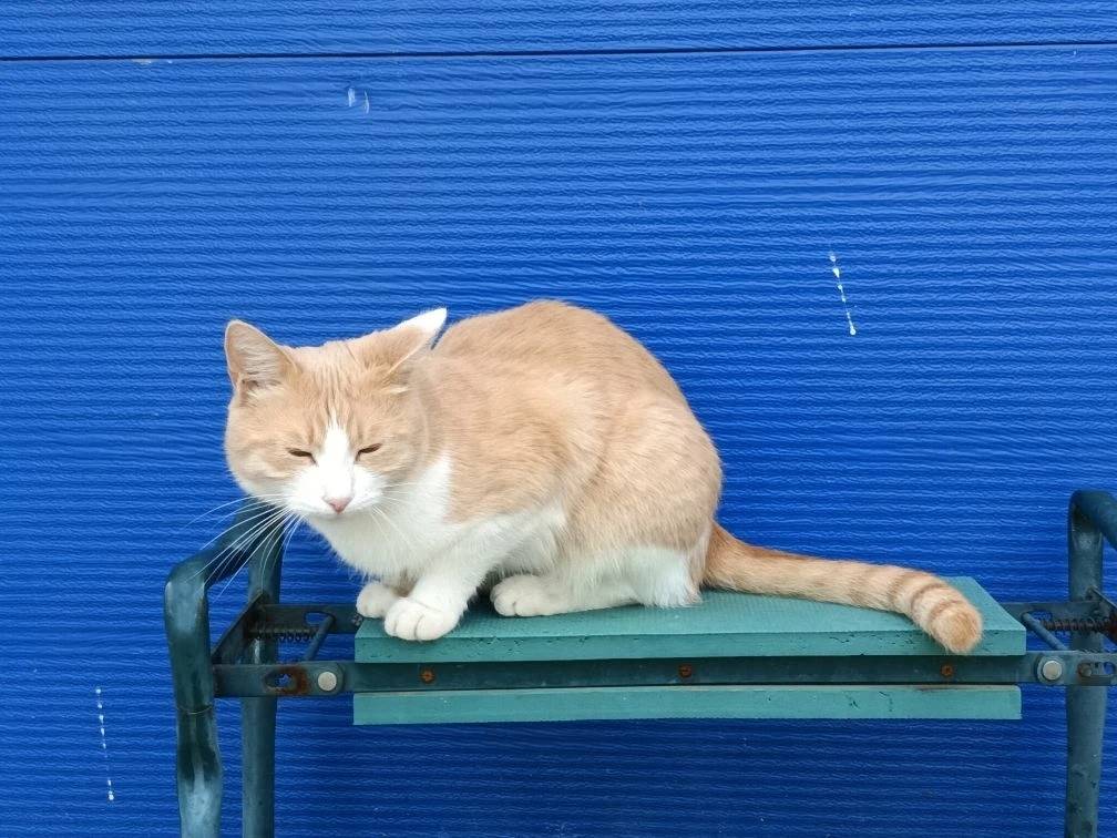 Фото 1