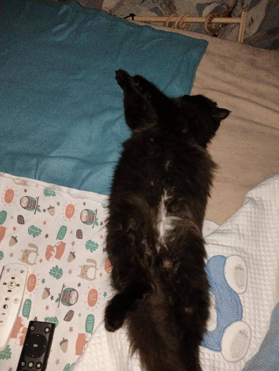 Фото 2