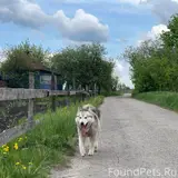 Фото 3