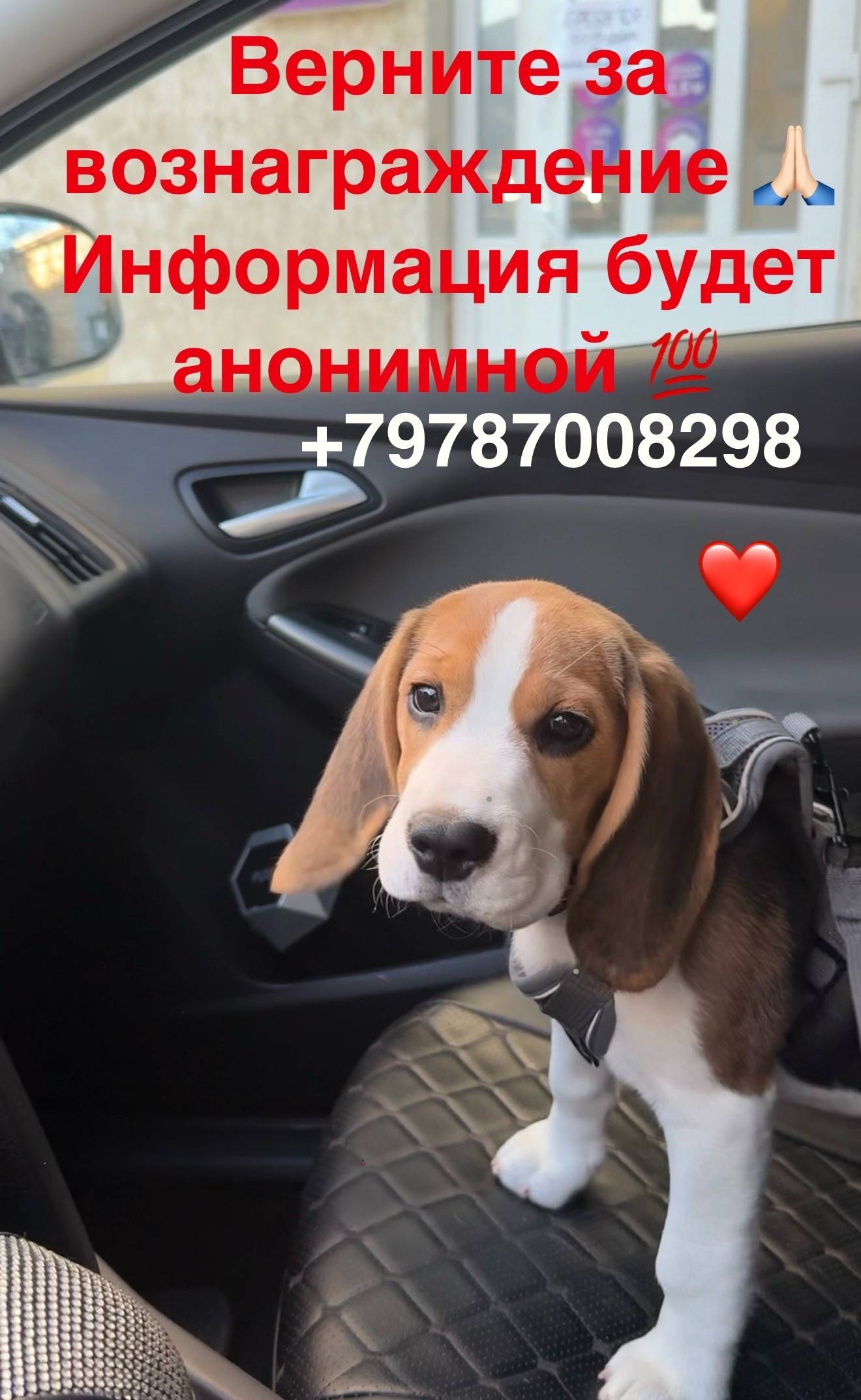 Фото 2