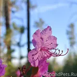 Фото 8