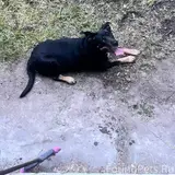 Фото 1