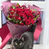Фото 3