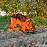 Фото 2