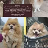 Фото 3
