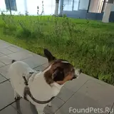 Фото 2