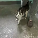 Фото 2