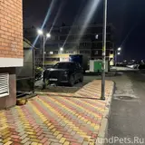 Фото 4