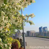 Фото 4