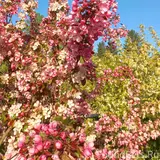 Фото 6