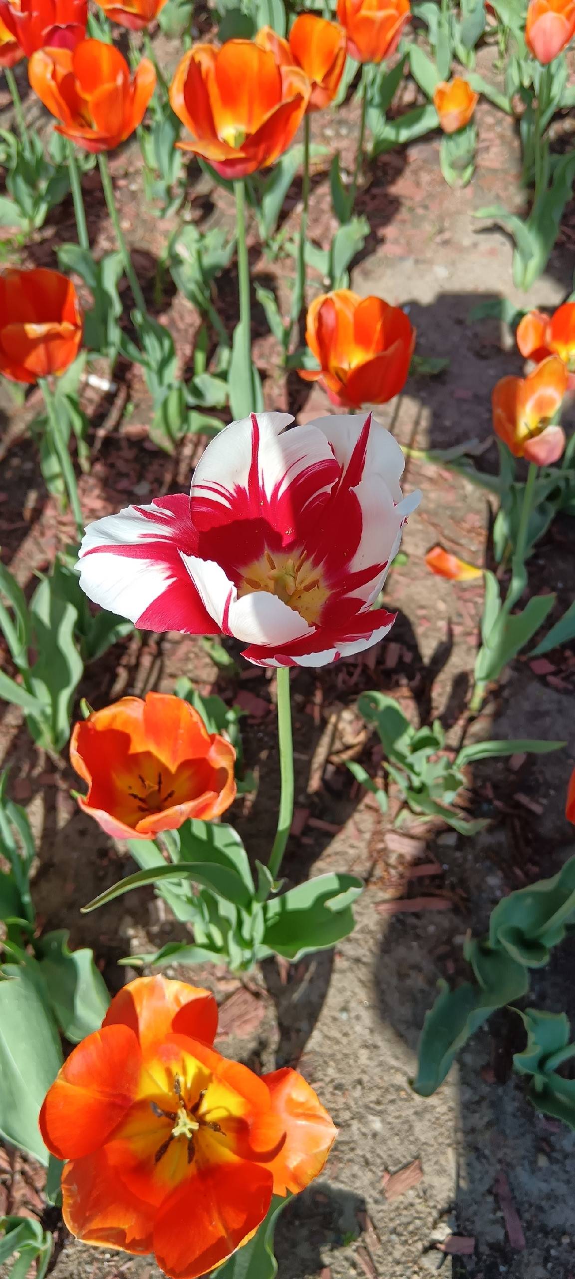 Фото 3