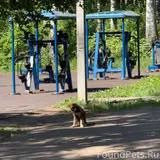 Фото 3