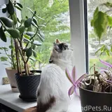 Фото 3