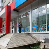 Фото 4