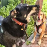 Фото 2