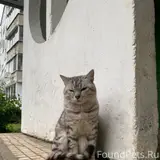 Фото 3