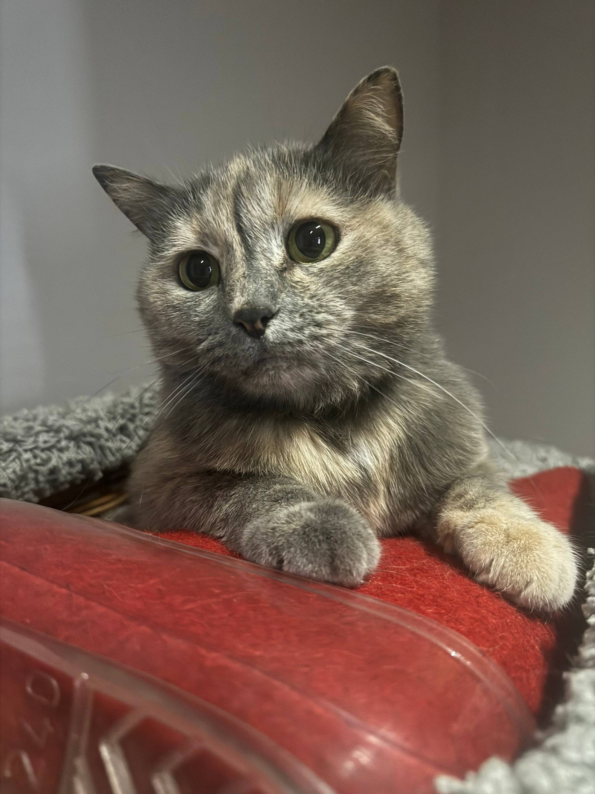 Фото 3