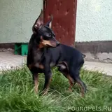 Фото 3