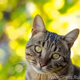 Фото 3