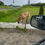 Фото 3