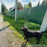 Фото 3
