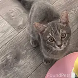 Фото 1