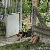 Фото 4
