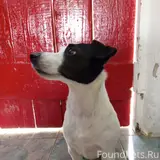 Фото 1