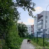 Фото 3