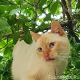 Фото 3