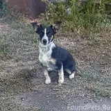 Фото 2