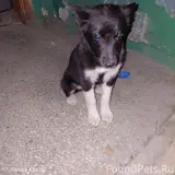 Фото 2