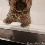 Фото 1