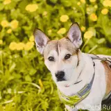 Фото 3