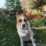 Фото 3