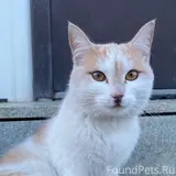 Фото 3