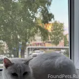 Фото 4
