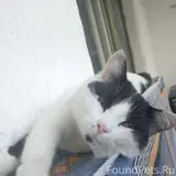Фото 1