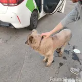 Фото 2