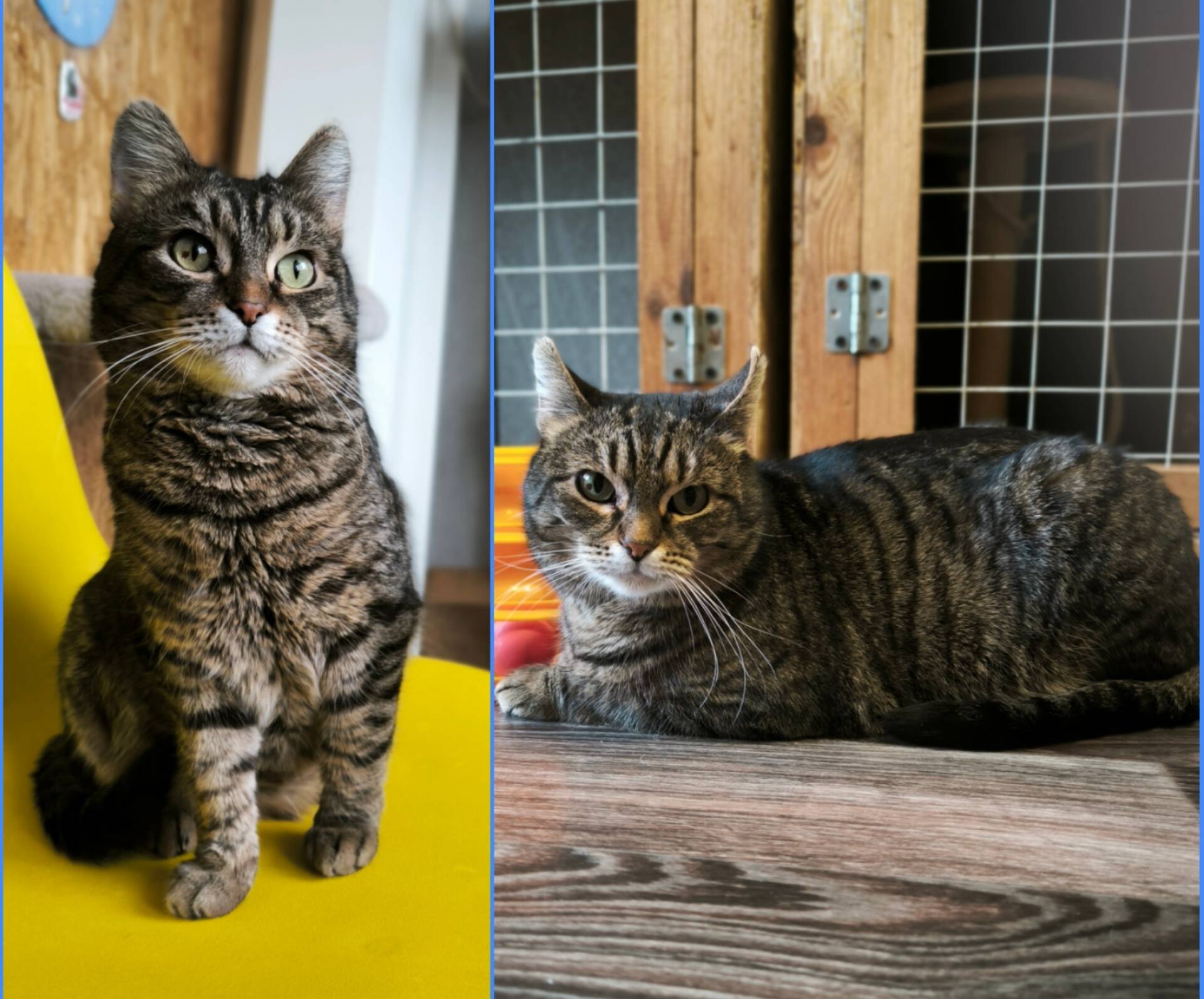 Фото 3