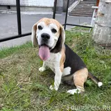 Фото 3