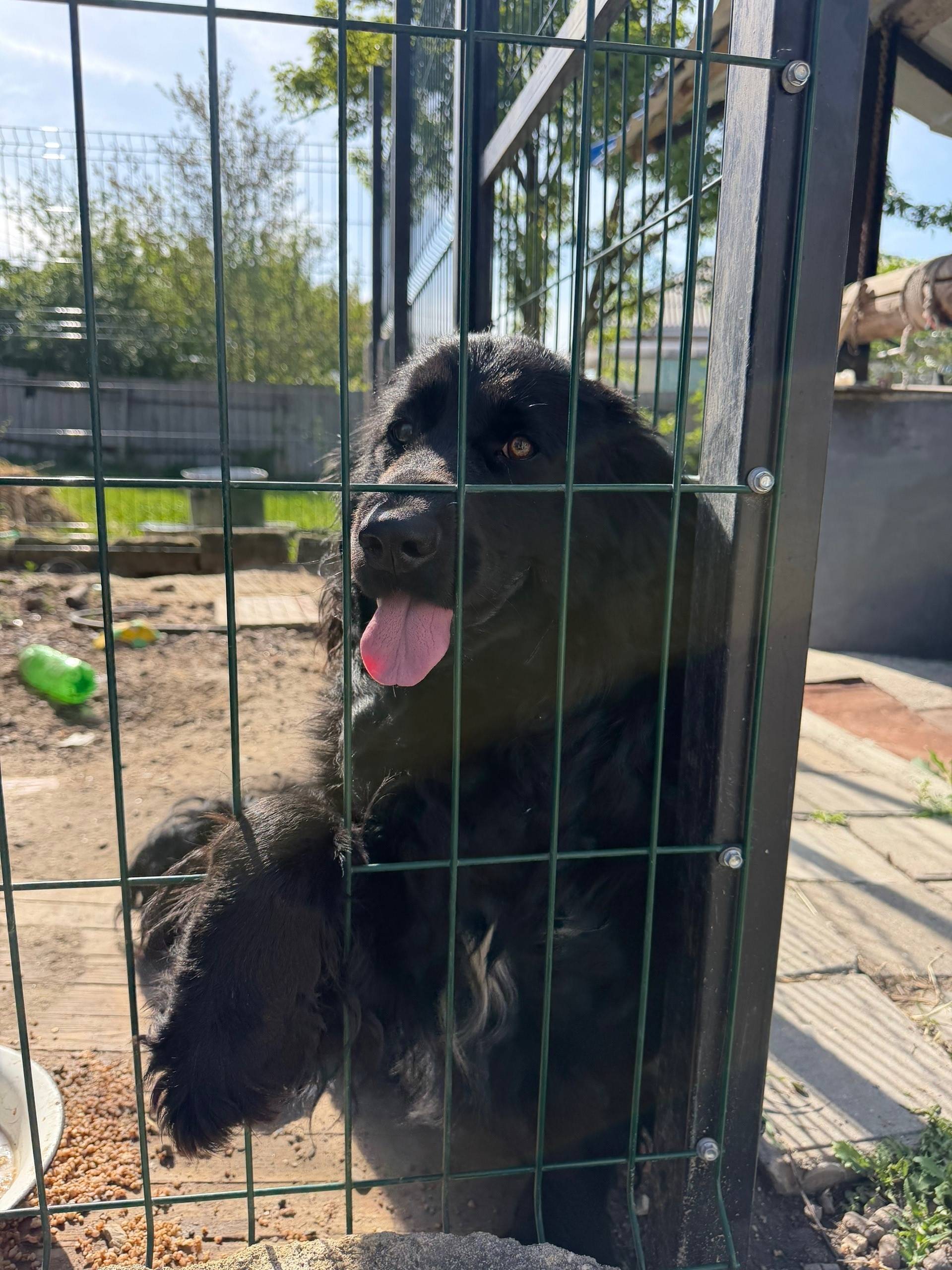 Фото 2