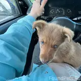 Фото 1