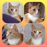 Фото 3